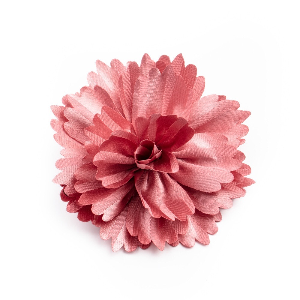 Hair clip